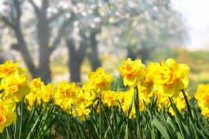 Tipps gegen Frühjahrsmüdigkeit