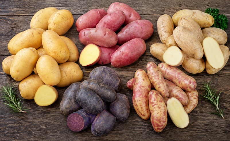 Kartoffelsorten