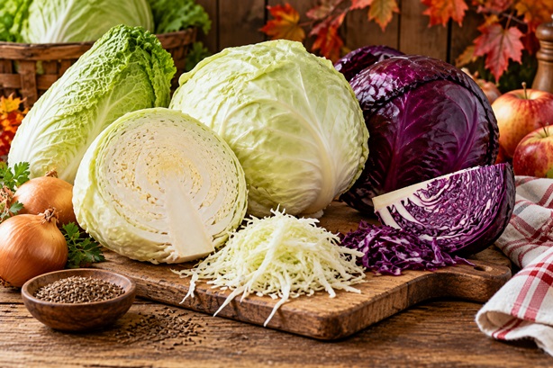 Weißkraut und Rotkraut als Zutaten für österreichische Herbstgerichte